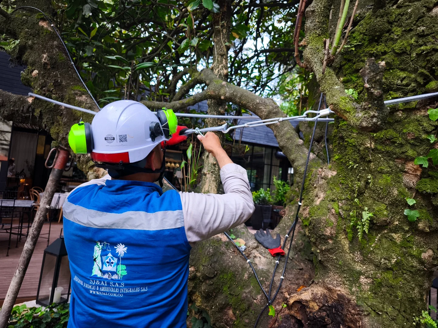 Instalación de elementos de soporte estructural en un árbol